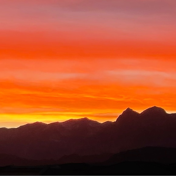 Meet your Posher, Lily - Picture 1 of 1